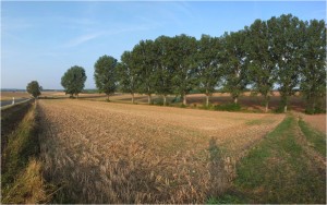 [Gruppe_0]-DSCF0824_DSCF0829-6_Bilder_HERRENRAIN_KLEIN