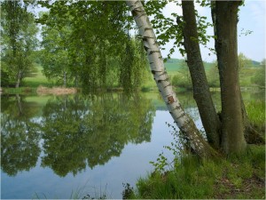 DSCF1416_MEERPFUHL_RT_KLEIN