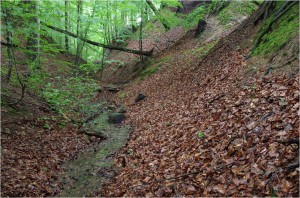 IMGP0070_HERINGSLOCH_KLEIN